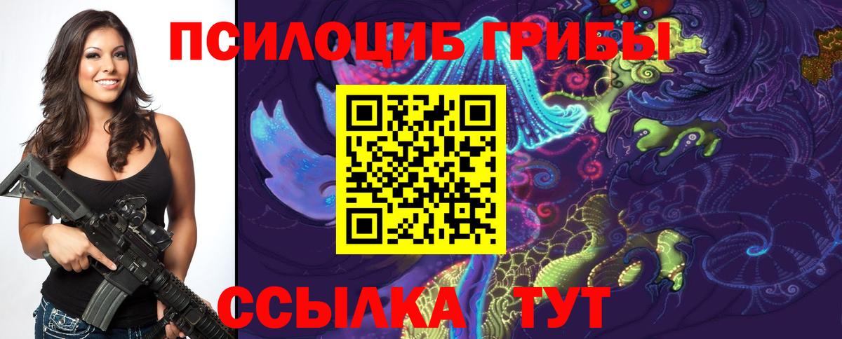 Кольчугино  Псилоцибиновые грибы мицелий  Вход с VPN 
