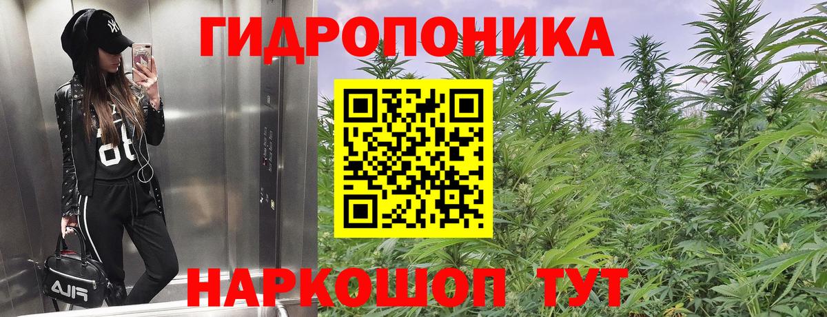 Конопля Bruce Banner  Бошки Шишки LSD WEED  Вход с VPN  Кольчугино  Бошки Шишки тримм 